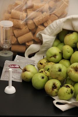 Matériel et ingrédients pour le vin de pomme