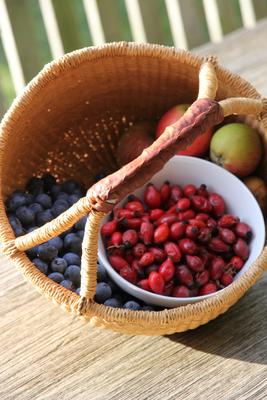 Panier de fruits sauvages