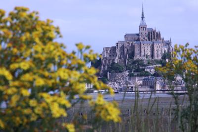 Mont Saint-Michel depuis la côte